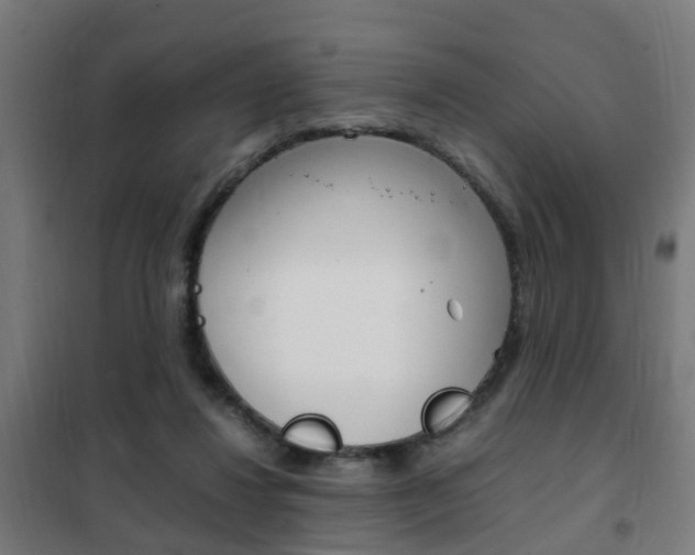 X0000102250260200807250907