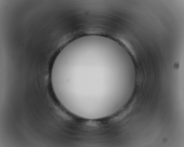 X0000102250261200807250907