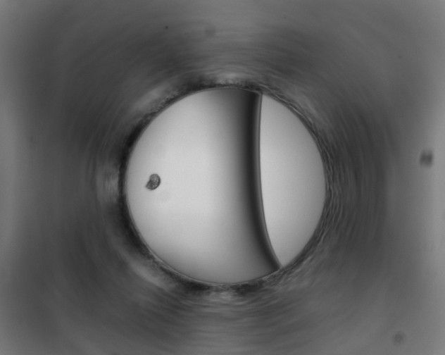 X0000102250262200807250907