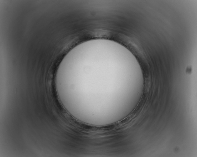 X0000102250263200807250907