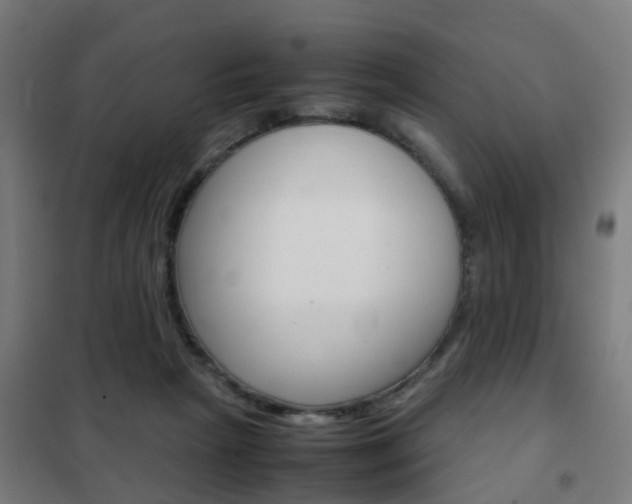 X0000102250265200807250907