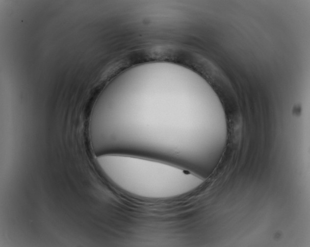 X0000102250266200807250907