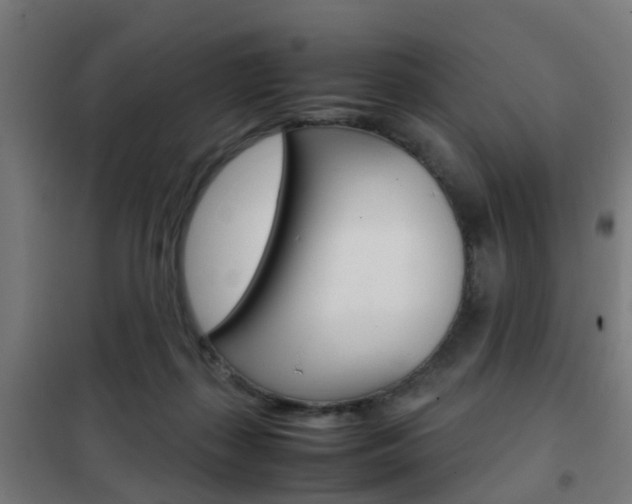 X0000102250267200807250907