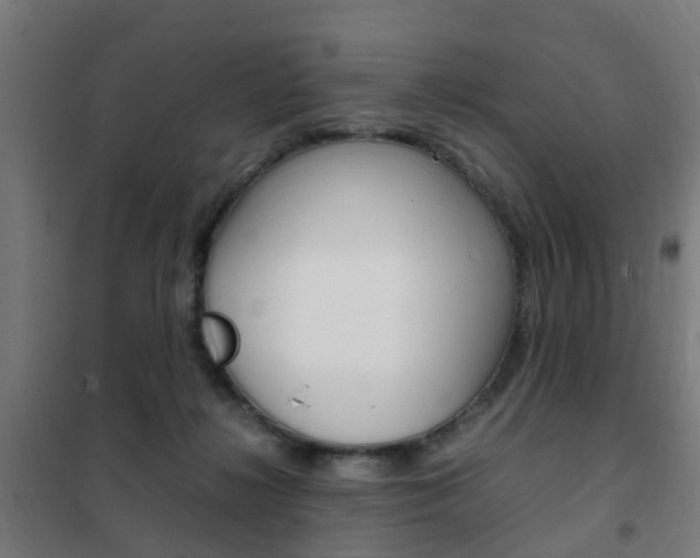 X0000102250268200807250908