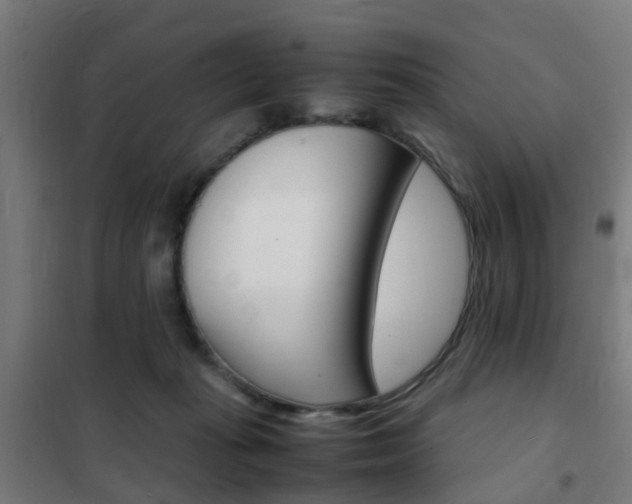 X0000102250269200807250908