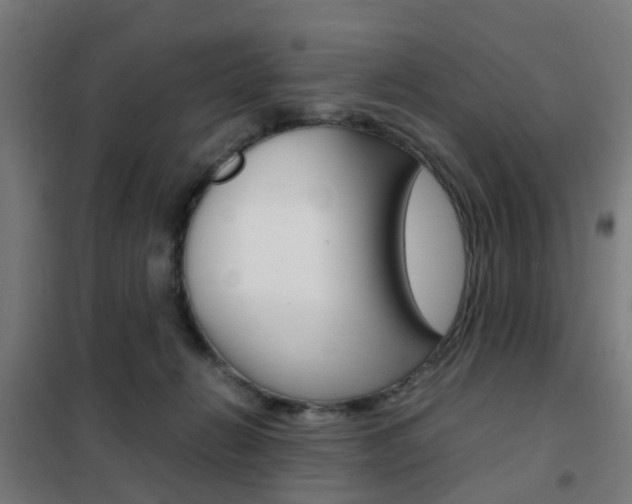 X0000102250270200807250908