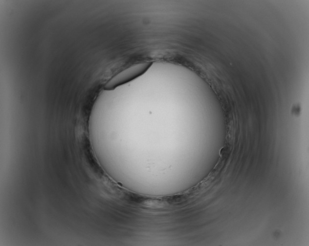 X0000102250272200807250908