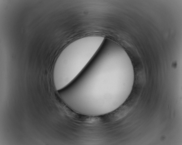 X0000102250274200807250908