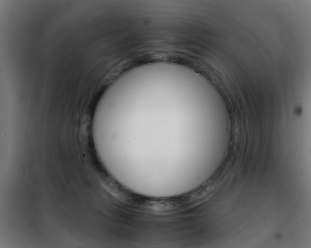 X0000102250275200807250908