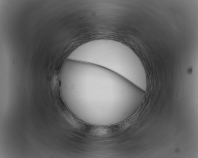 X0000102250276200807250908