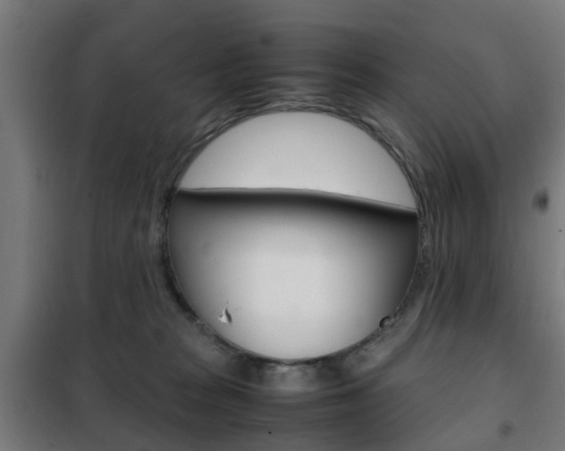 X0000102250277200807250908
