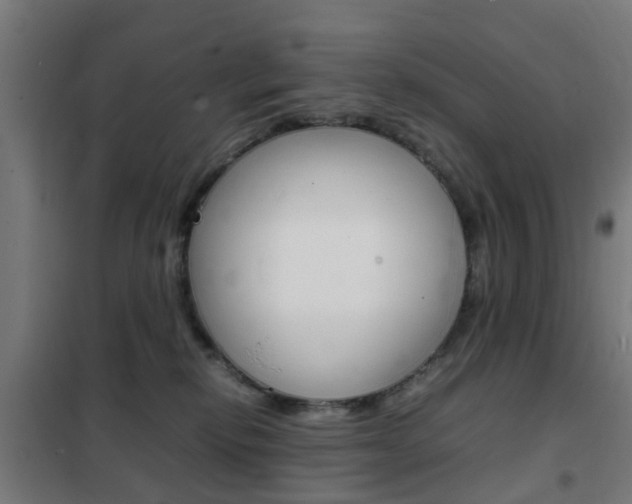 X0000102250278200807250908