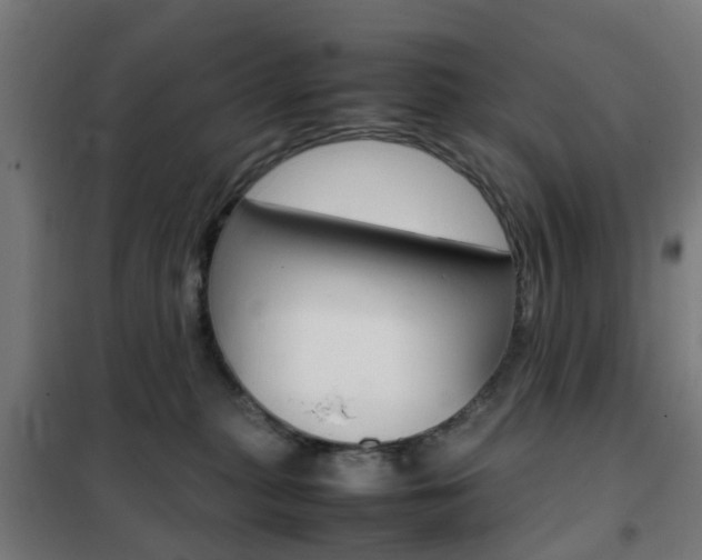 X0000102250279200807250908