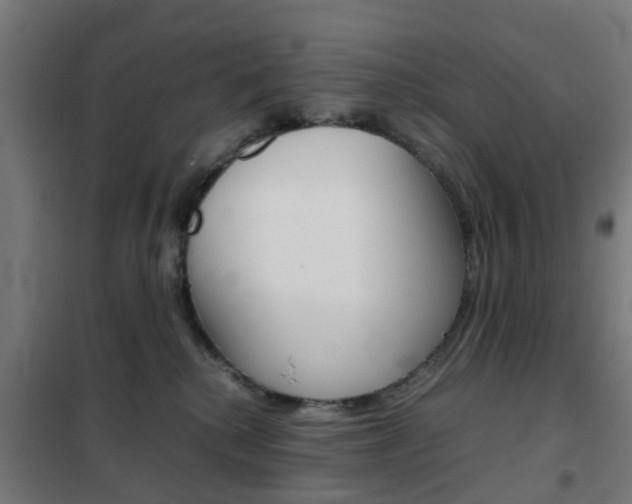X0000102250280200807250908