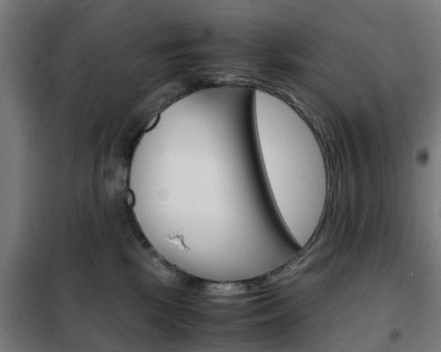 X0000102250281200807250908