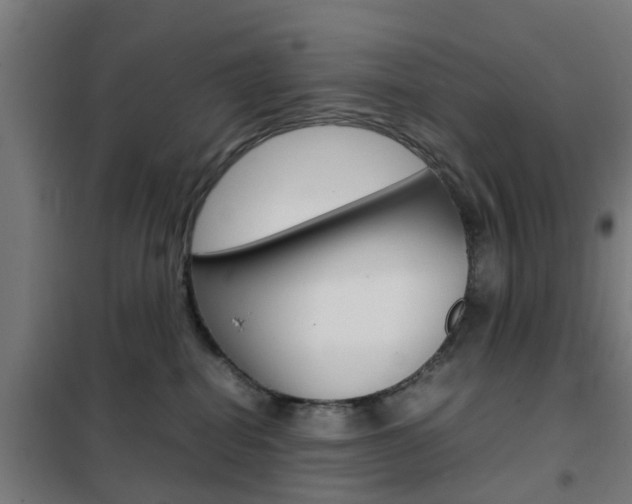 X0000102250282200807250908