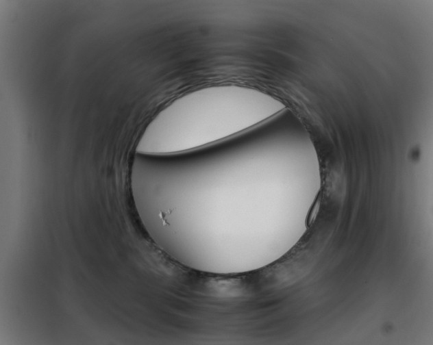 X0000102250283200807250908