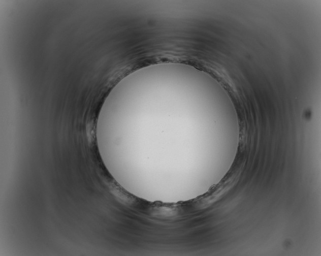 X0000102250285200807250908
