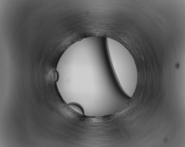 X0000102250286200807250908