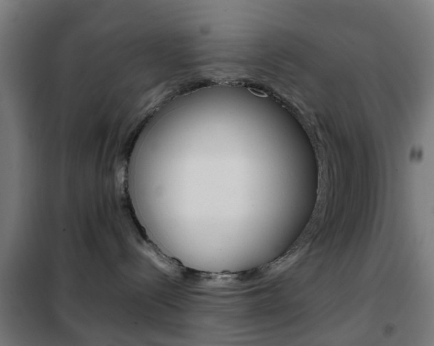 X0000102250288200807250908
