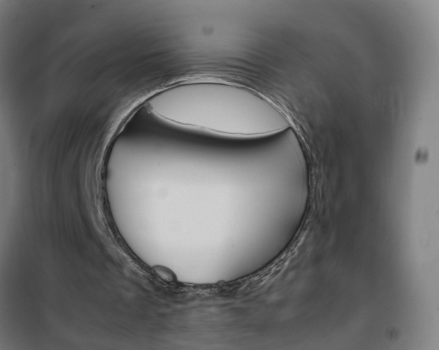 X0000102250289200807250907