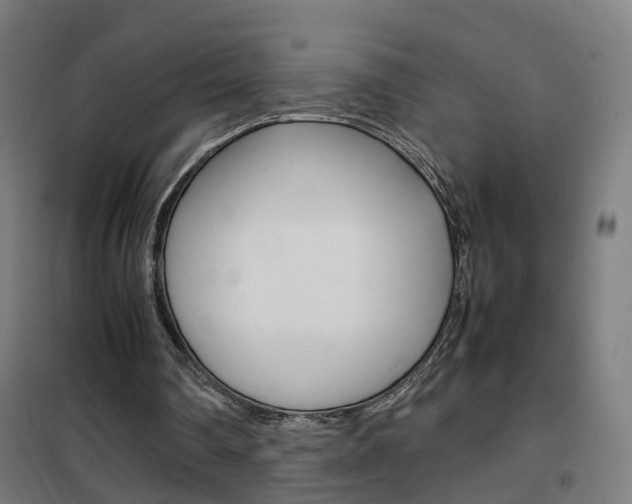 X0000102250290200807250907