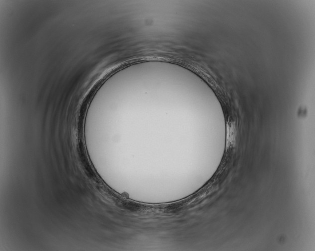 X0000102250291200807250907