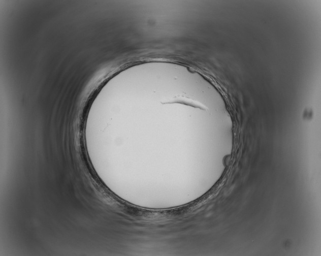X0000102250293200807250907