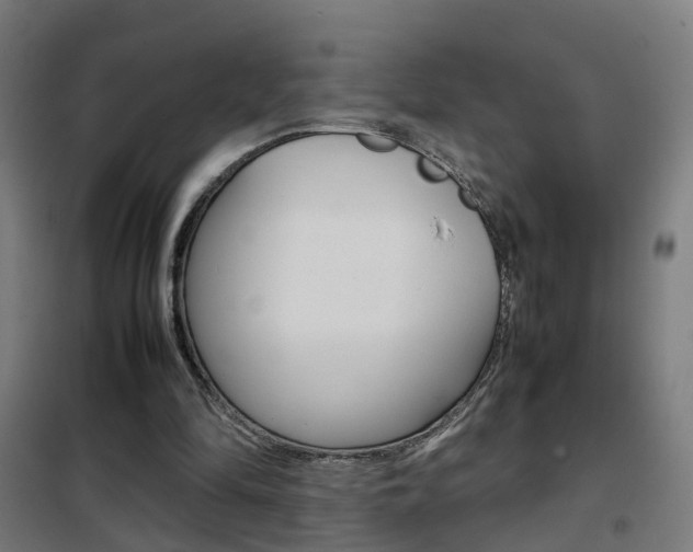 X0000102250294200807250907