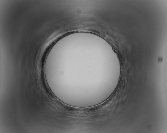 X0000102250295200807250907