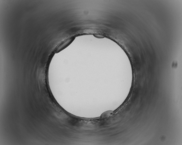 X0000102250297200807250907