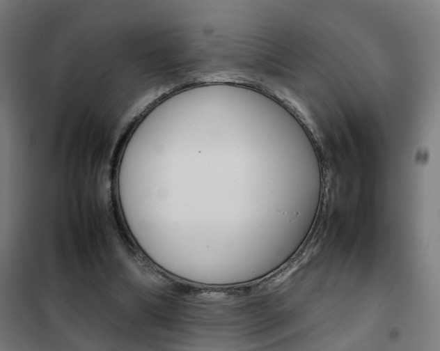 X0000102250298200807250907