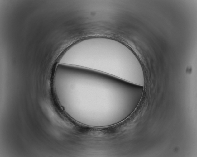 X0000102250299200807250907