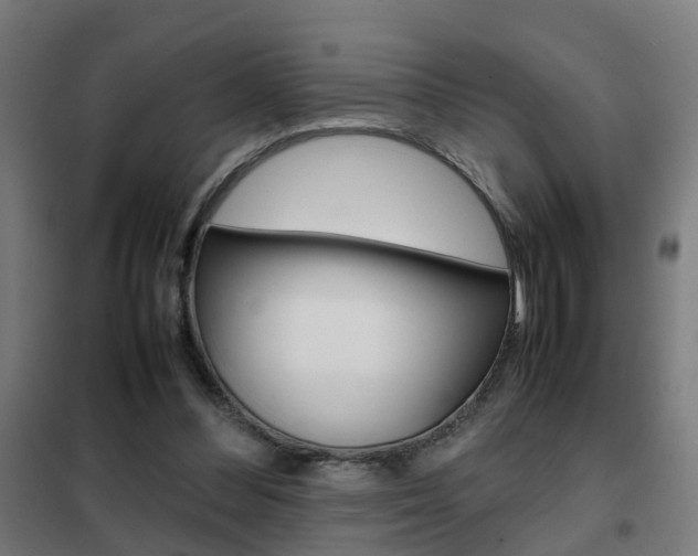 X0000102250300200807250907