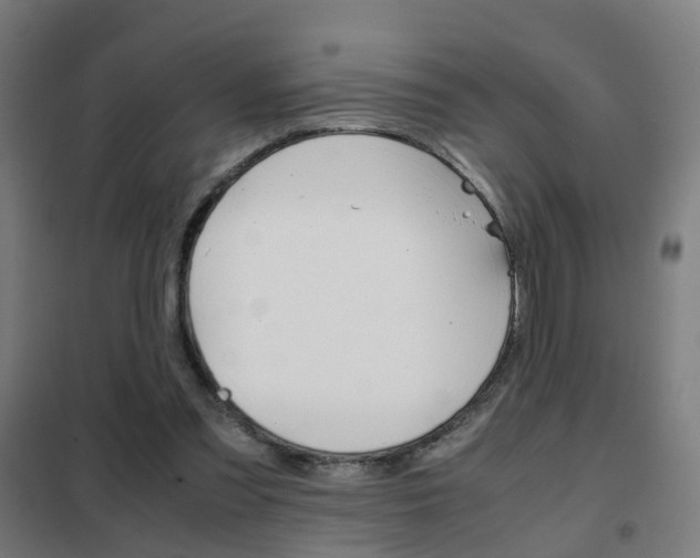 X0000102250301200807250907