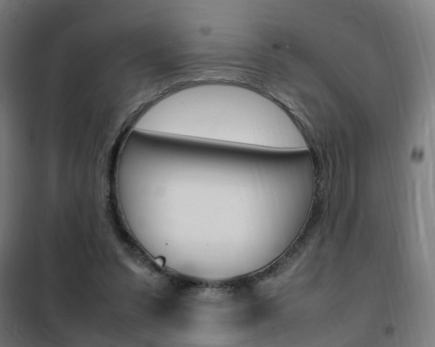 X0000102250303200807250907