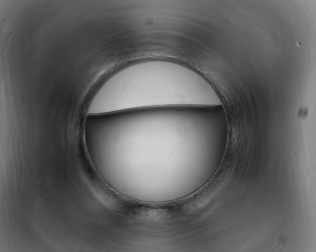 X0000102250304200807250907