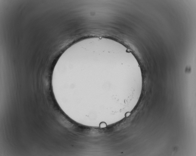 X0000102250305200807250907