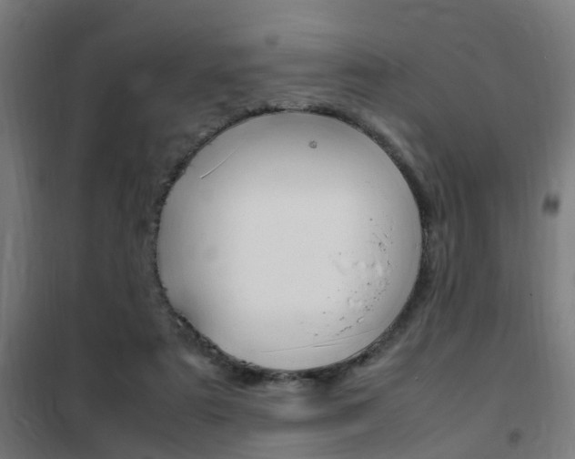 X0000102250307200807250907