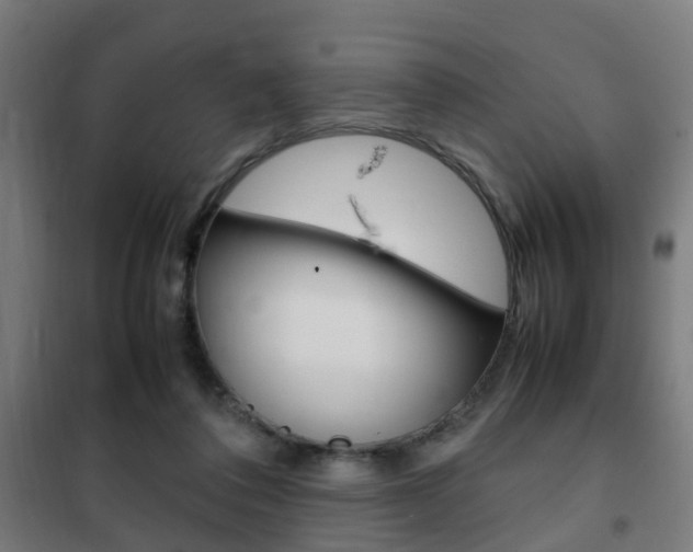 X0000102250308200807250907