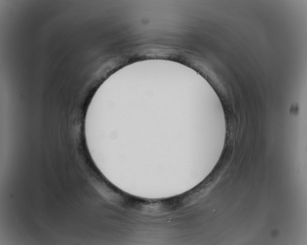 X0000102250309200807250907