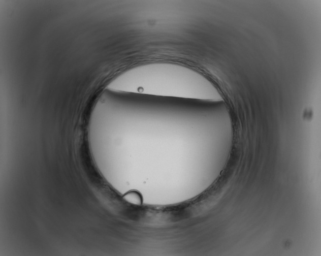 X0000102250311200807250907
