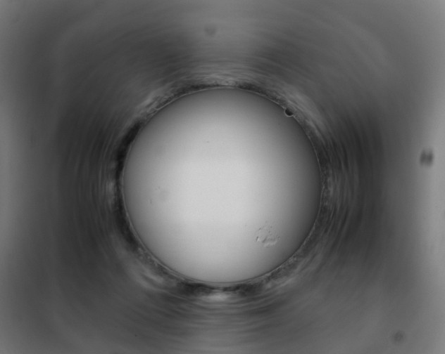 X0000102250312200807250907