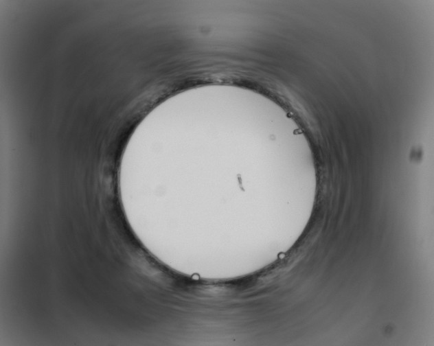 X0000102250313200807250907