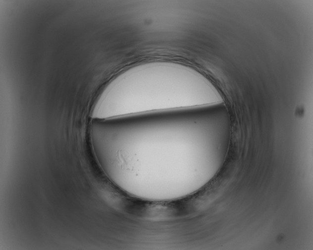 X0000102250315200807250907