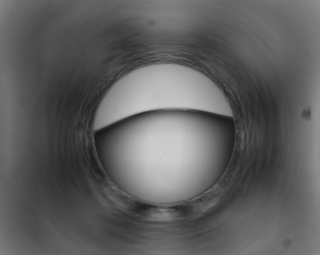 X0000102250316200807250907