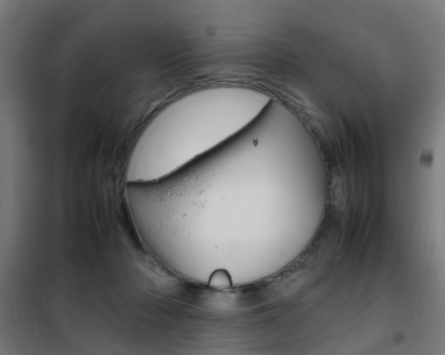 X0000102250318200807250907