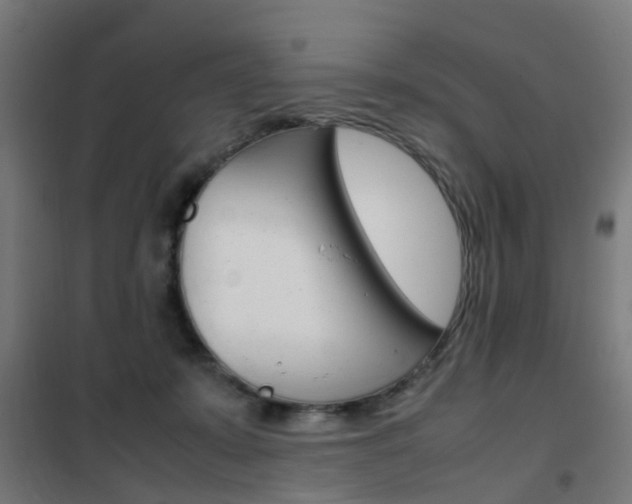 X0000102250319200807250907