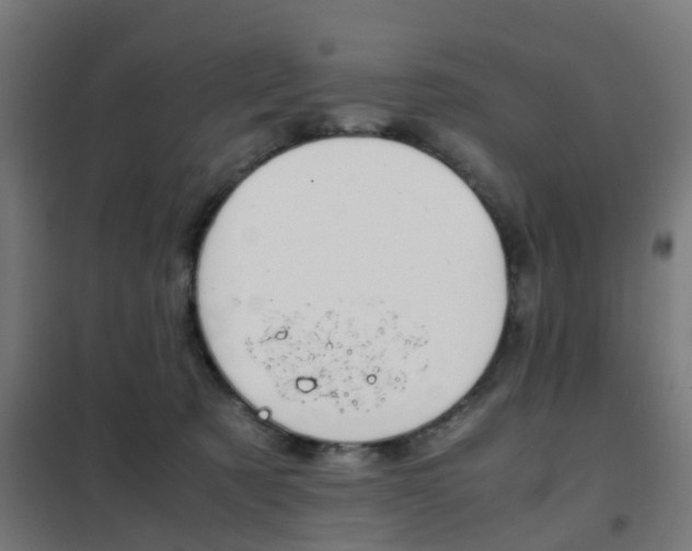 X0000102250321200807250907