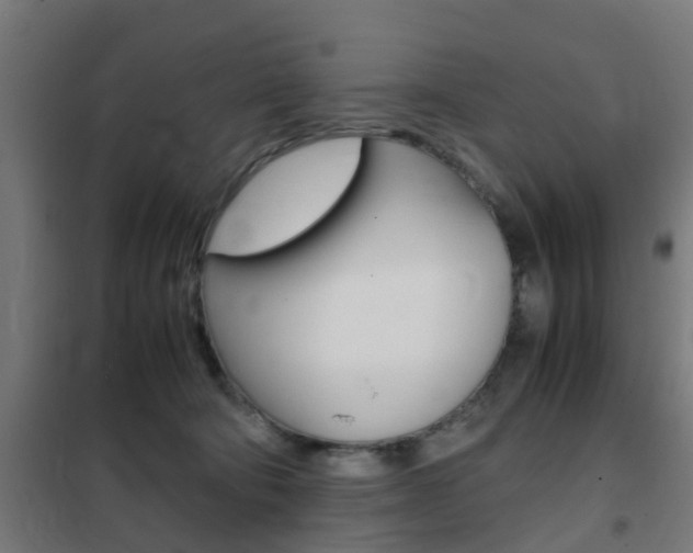 X0000102250322200807250907